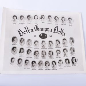 1958 Delta Gamma Delta. Vintage Sorority Photograph. College, Sorority Girls, Tisdell Studio. Black & White Group Sorority Picture. Ephemera